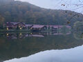 IMG_7899.JPG