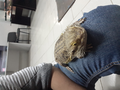 image1604755780658.png