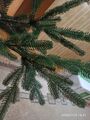 IMG_20201109_183137.jpg