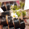 image1605006756658.png