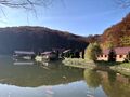 20201108_105436.jpg