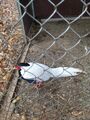 20201110_101929.jpg