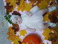 image1605689108516.png