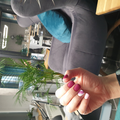 image1606231881066.png