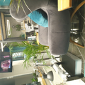 image1606231913869.png