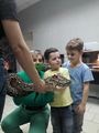 image1608038848561.png