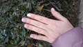image1608930835404.png