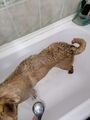 IMG_20210122_144633.jpg