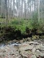 IMG_20210205_130256.jpg