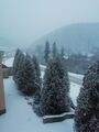 IMG_20210206_074441.jpg