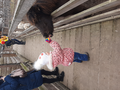 image1612893479741.png