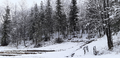 image1613069236883.png