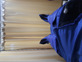 image1613377905102.png