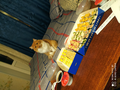 image1615620077115.png