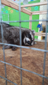image1615738012415.png