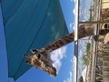 image1615972575723.png