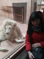 image1616357929677.png