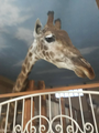 image1616357929697.png