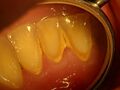 PXL_20210322_125919375.jpg