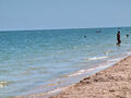 IMG_2982.JPG