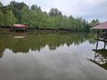 20210831_171551.jpg