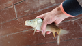 image1632426747073.png
