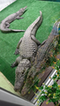 image1633612294132.png