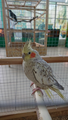 image1633858858086.png