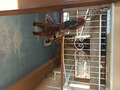 image1633895893449.png