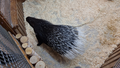 image1637481968594.png