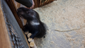 image1637481968700.png