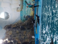 image1637824891553.png