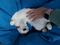 image1638778216433.png