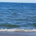 image1642146095385.png