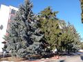 IMG_20220204_102847.jpg
