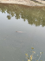 image1644393005436.png