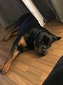 IMG_7029.jpeg