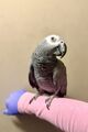 IMG_7139.jpeg