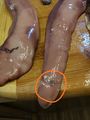 ashan_5a22cce203eec.jpg