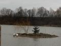 20180402_110706.jpg