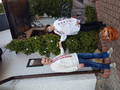 image1523629538594.png