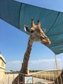 17936080_nAMdJh-Mp_2fil59GGULO6q4X7-S9hLcQUO1G855d7Q.jpg
