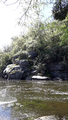 image1525290040008.png