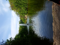 image1525292633012.png