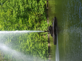 image1525292646470.png