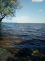 image1527314985793.png