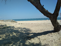 image1527669056677.png