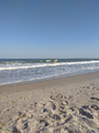 image1527750709522.png