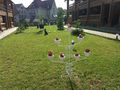 20180523_091643.jpg