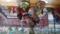 image1530062868125.png